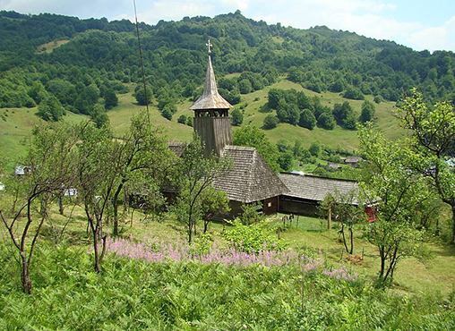 Băiuț