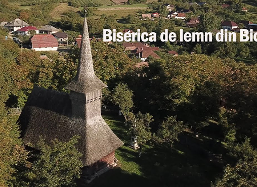 Bicaz