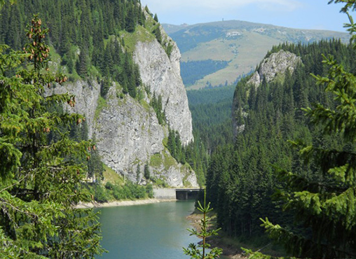 Desești